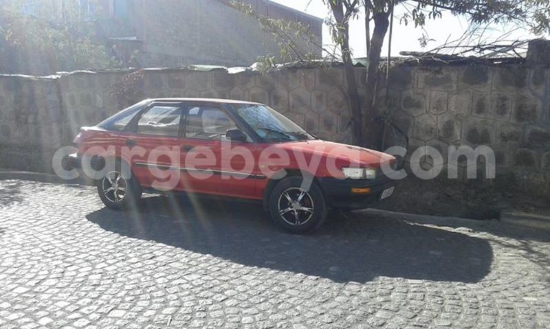 Big with watermark 16298494 1556577997703333 5880869471342312895 n