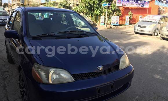 Acheter Occasion Voiture Toyota Platz Bleu à Addis Ababa, Ethiopie Acheter Occasion Voiture Toyota Platz Bleu à Addis Ababa, Ethiopie