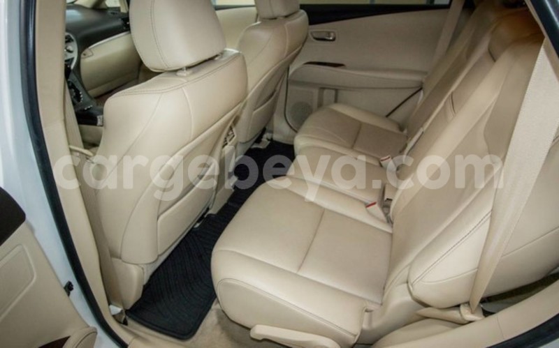 Big with watermark 4