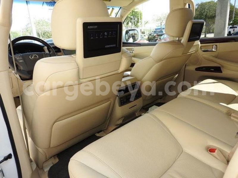 Big with watermark 15