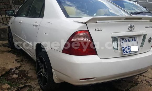 Acheter Occasion Voiture Toyota Corolla Blanc à Addis Ababa, Ethiopie Acheter Occasion Voiture Toyota Corolla Blanc à Addis Ababa, Ethiopie