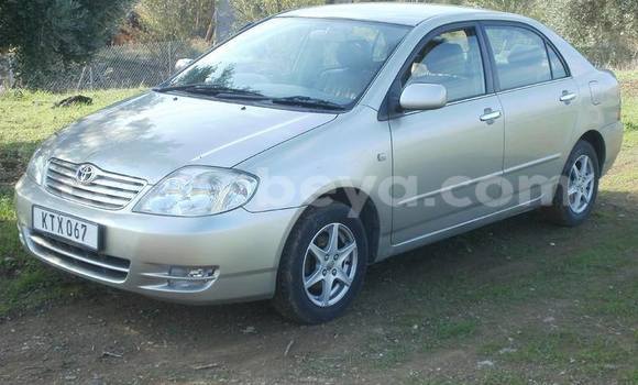 Acheter Occasion Voiture Toyota Corolla Gris à Addis Ababa, Ethiopie Acheter Occasion Voiture Toyota Corolla Gris à Addis Ababa, Ethiopie