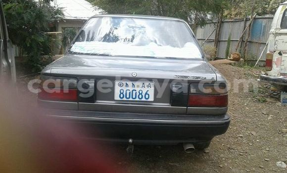 Buy Used Toyota Corolla Other Car in Addis–Ababa in Ethiopia Buy Used Toyota Corolla Other Car in Addis–Ababa in Ethiopia