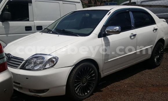 Buy Used Toyota Corolla White Car in Addis–Ababa in Ethiopia Buy Used Toyota Corolla White Car in Addis–Ababa in Ethiopia
