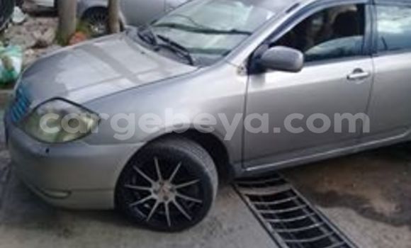 Buy Used Toyota Corolla Silver Car in Addis–Ababa in Ethiopia Buy Used Toyota Corolla Silver Car in Addis–Ababa in Ethiopia