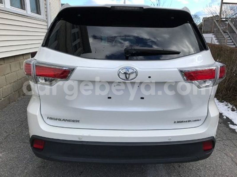 Big with watermark hl 10