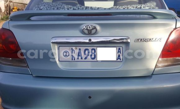 Buy Used Toyota Platz Blue Car in Addis–Ababa in Ethiopia Buy Used Toyota Platz Blue Car in Addis–Ababa in Ethiopia