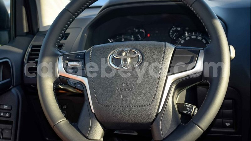 Big with watermark 11