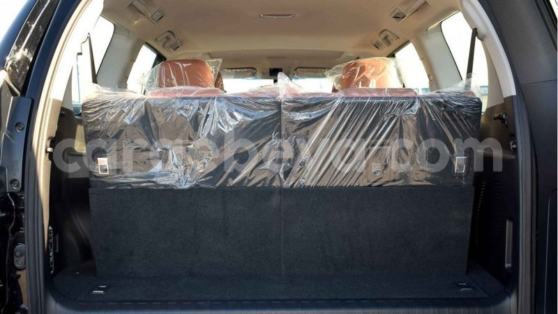 Big with watermark 13