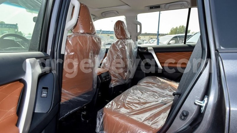 Big with watermark 7