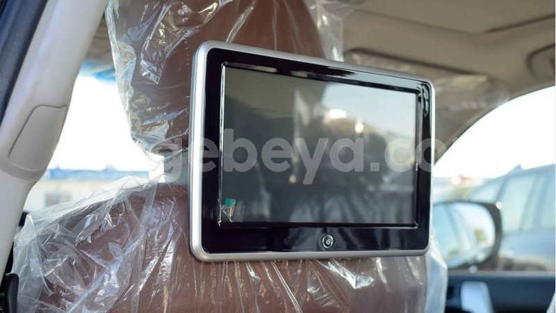 Big with watermark 11