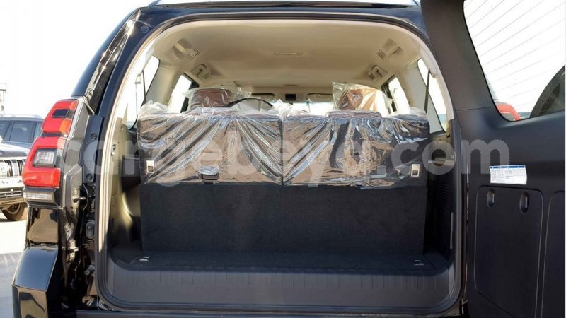 Big with watermark 13