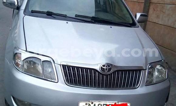 Buy Used Toyota Corolla Silver Car in Addis–Ababa in Ethiopia Buy Used Toyota Corolla Silver Car in Addis–Ababa in Ethiopia