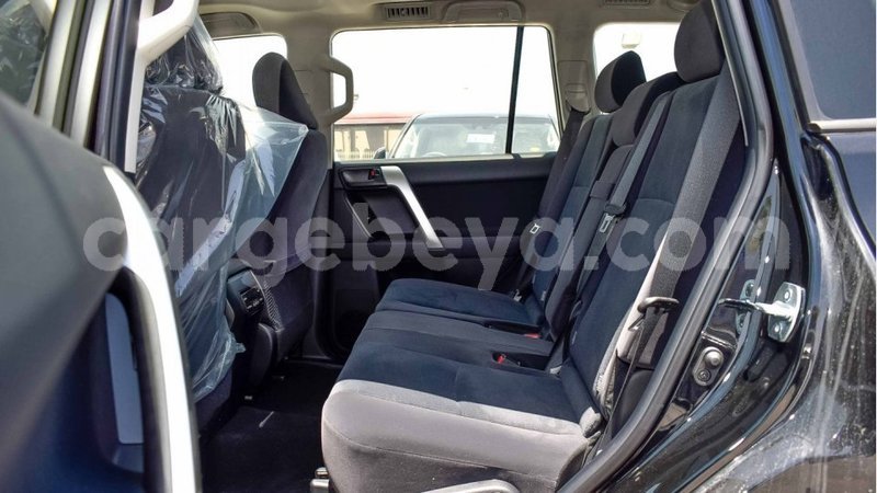 Big with watermark 7