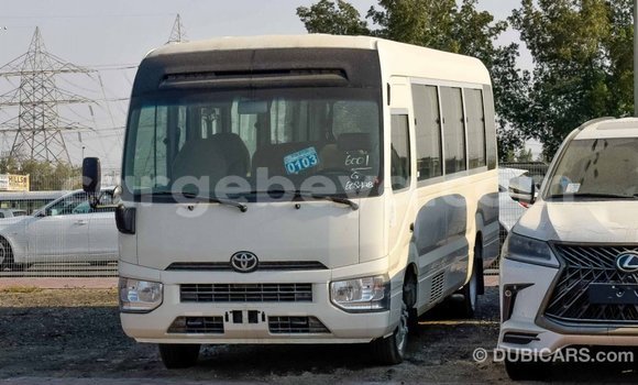 Buy Import Toyota Coaster White Car in Import - Dubai in Ethiopia Buy Import Toyota Coaster White Car in Import - Dubai in Ethiopia