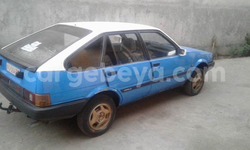 Big with watermark 17796789 902716609870218 4521974656185205947 n