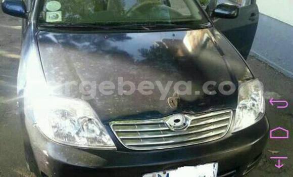Buy Used Toyota Corolla Blue Car in Addis–Ababa in Ethiopia Buy Used Toyota Corolla Blue Car in Addis–Ababa in Ethiopia