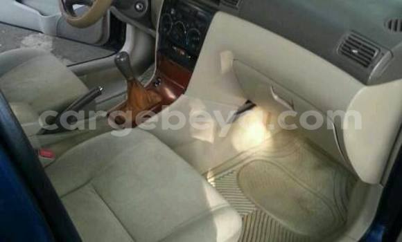 Buy Used Toyota Corolla Blue Car in Addis–Ababa in Ethiopia Buy Used Toyota Corolla Blue Car in Addis–Ababa in Ethiopia