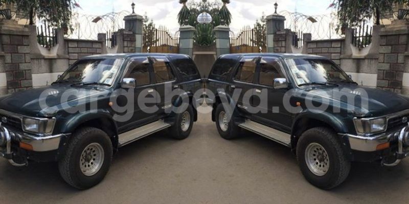 Big with watermark 17523240 446906552317802 3020784409794938775 n