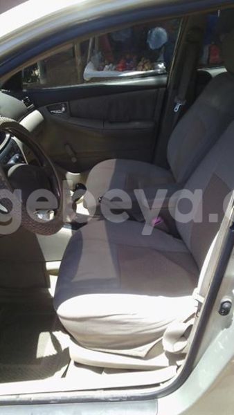 Big with watermark 17795701 10206966928850318 4670280897170890025 n