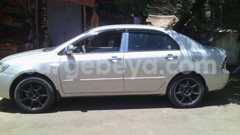 Big with watermark 17796789 902716609870218 4521974656185205947 n