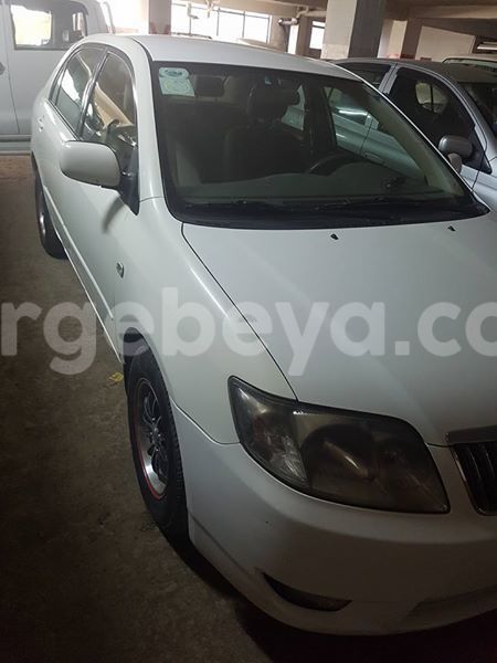 Big with watermark 17795701 10206966928850318 4670280897170890025 n