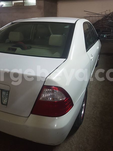 Big with watermark 17523240 446906552317802 3020784409794938775 n