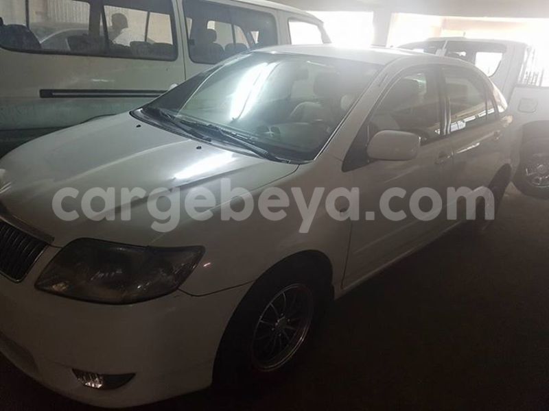 Big with watermark 17796789 902716609870218 4521974656185205947 n