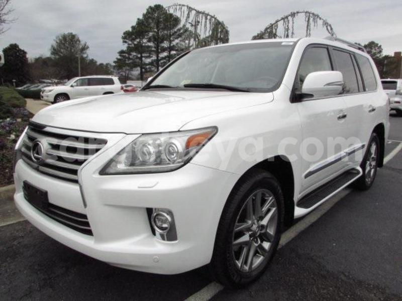 Big with watermark 1