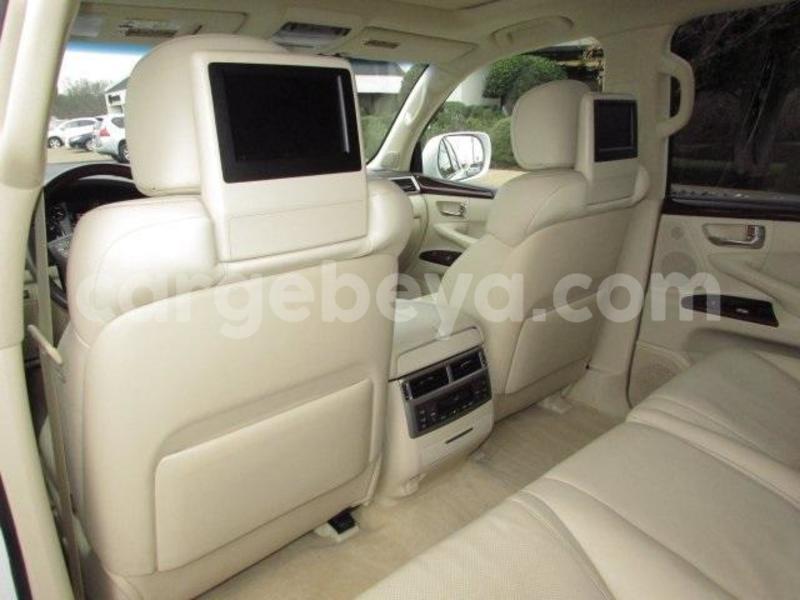 Big with watermark 6