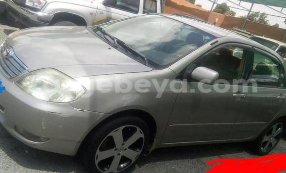 Buy Used Toyota Corolla Silver Car in Addis–Ababa in Ethiopia Buy Used Toyota Corolla Silver Car in Addis–Ababa in Ethiopia