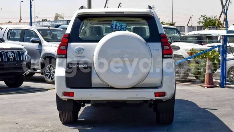 Big with watermark 14