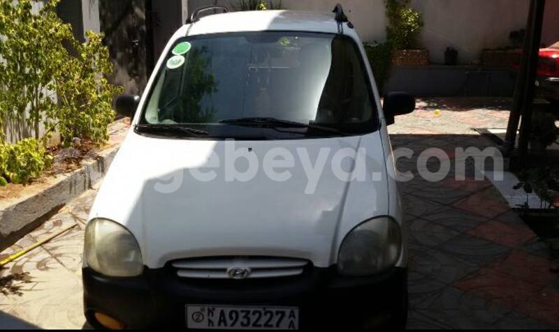 Big with watermark 17795701 10206966928850318 4670280897170890025 n