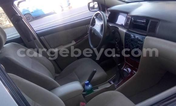 Buy Used Toyota Corolla Other Car in Addis–Ababa in Ethiopia Buy Used Toyota Corolla Other Car in Addis–Ababa in Ethiopia