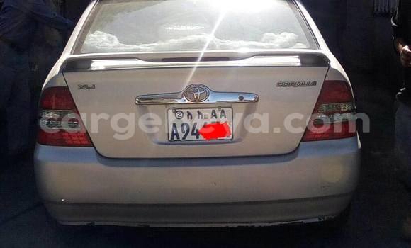Buy Used Toyota Corolla Silver Car in Addis–Ababa in Ethiopia Buy Used Toyota Corolla Silver Car in Addis–Ababa in Ethiopia