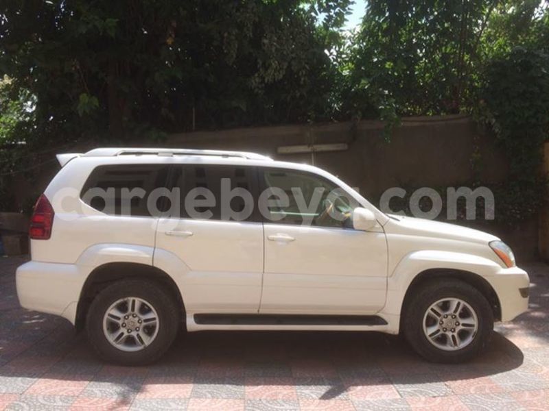 Big with watermark 17523240 446906552317802 3020784409794938775 n