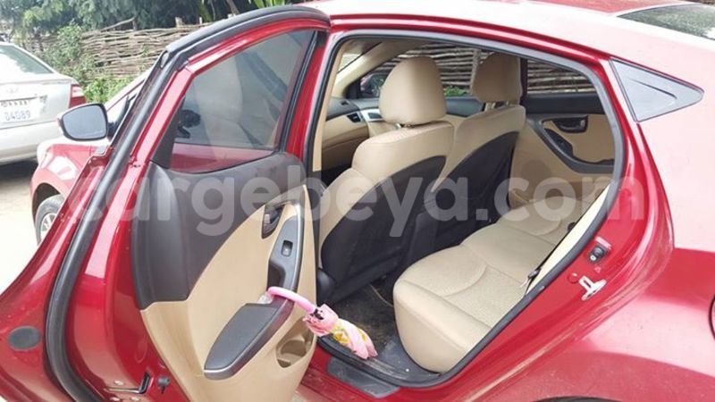 Big with watermark 17795701 10206966928850318 4670280897170890025 n