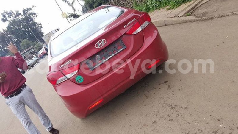 Big with watermark 17523240 446906552317802 3020784409794938775 n