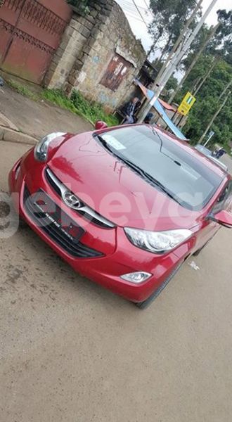 Big with watermark 17796789 902716609870218 4521974656185205947 n