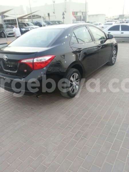 Big with watermark cor s 16 36k 6