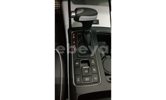 Buy Import Kia Sorento Brown Car in Import - Dubai in Ethiopia Buy Import Kia Sorento Brown Car in Import - Dubai in Ethiopia