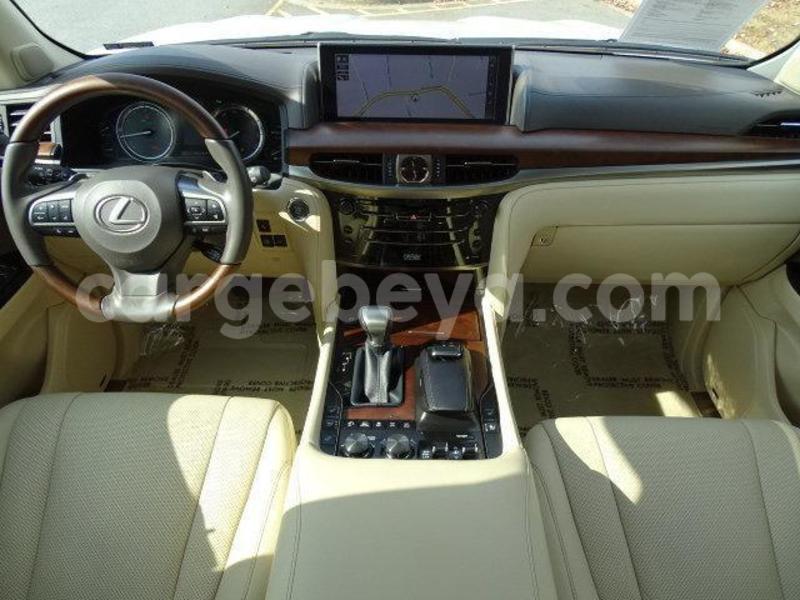 Big with watermark 11