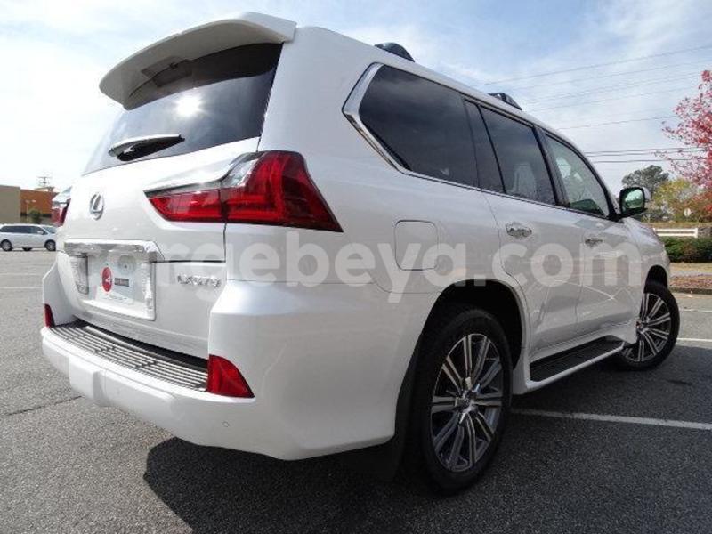 Big with watermark 2