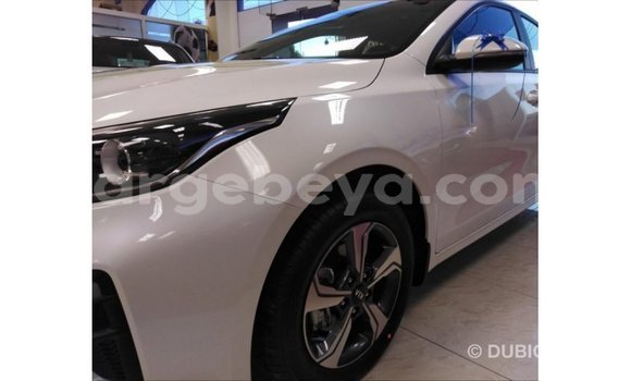 ይግዙ Imported Kia Cerato ነጭ መኪና በ Import - Dubai በ ኢትዮጵያ ይግዙ Imported Kia Cerato ነጭ መኪና በ Import - Dubai በ ኢትዮጵያ