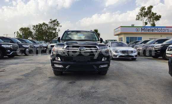 Haaraa Toyota Land Cruiser Black Makiinaa iti Abiy Adi keessatti Tigray keessatti Haaraa Toyota Land Cruiser Black Makiinaa iti Abiy Adi keessatti Tigray keessatti