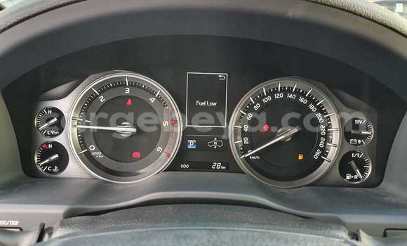 Haaraa Toyota Land Cruiser Black Makiinaa iti Abiy Adi keessatti Tigray keessatti Haaraa Toyota Land Cruiser Black Makiinaa iti Abiy Adi keessatti Tigray keessatti