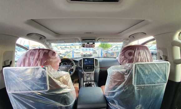 Haaraa Toyota Land Cruiser Black Makiinaa iti Abiy Adi keessatti Tigray keessatti Haaraa Toyota Land Cruiser Black Makiinaa iti Abiy Adi keessatti Tigray keessatti