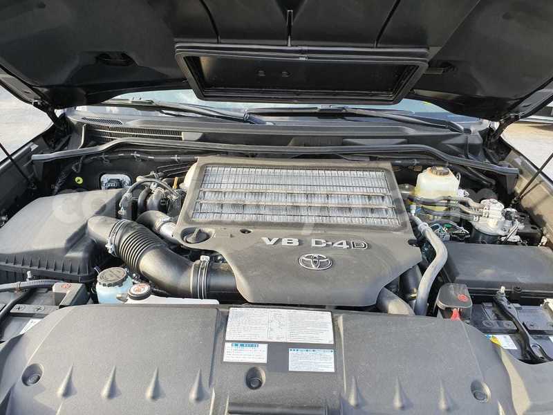 Big with watermark 14