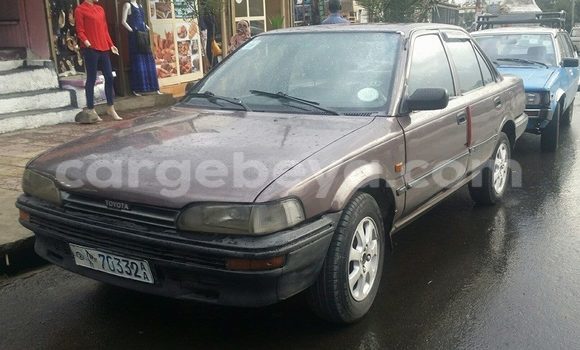 Buy Used Toyota Corolla Other Car in Addis–Ababa in Ethiopia Buy Used Toyota Corolla Other Car in Addis–Ababa in Ethiopia