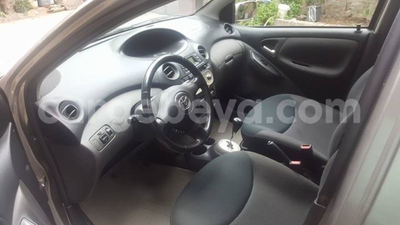 Big with watermark 17796439 1315154081906354 3590367499681648485 n